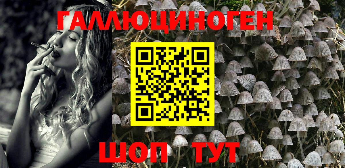 Нурлат  Псилоцибиновые грибы Psilocybe  Вход с VPN 