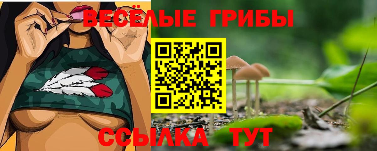 Галлюциногенные грибы MAGIC MUSHROOMS Нурлат